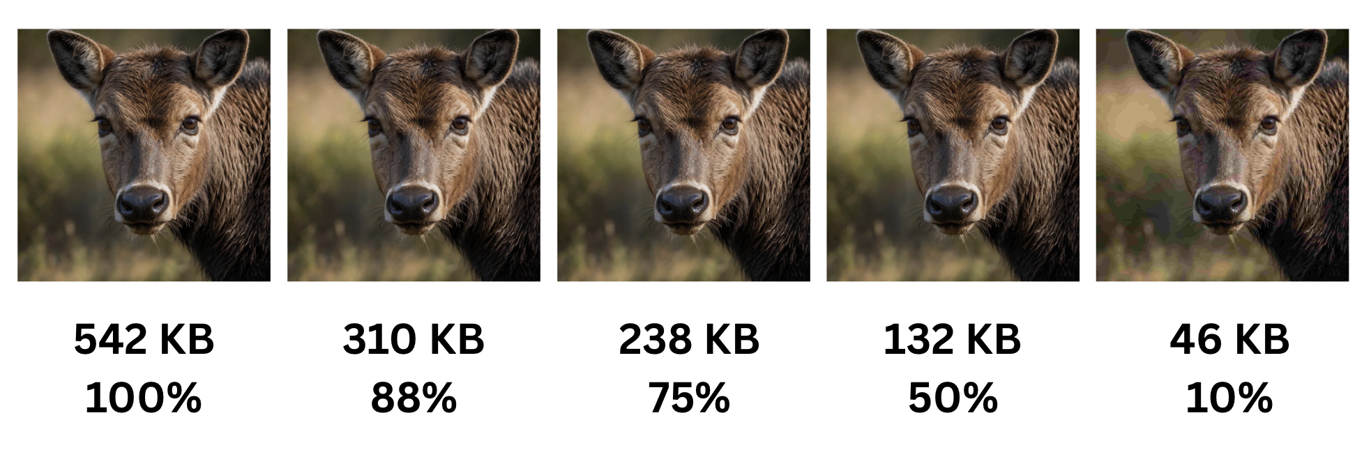 Quality slider comparison