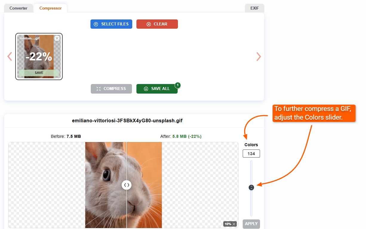 GIF compression with color palette reduction