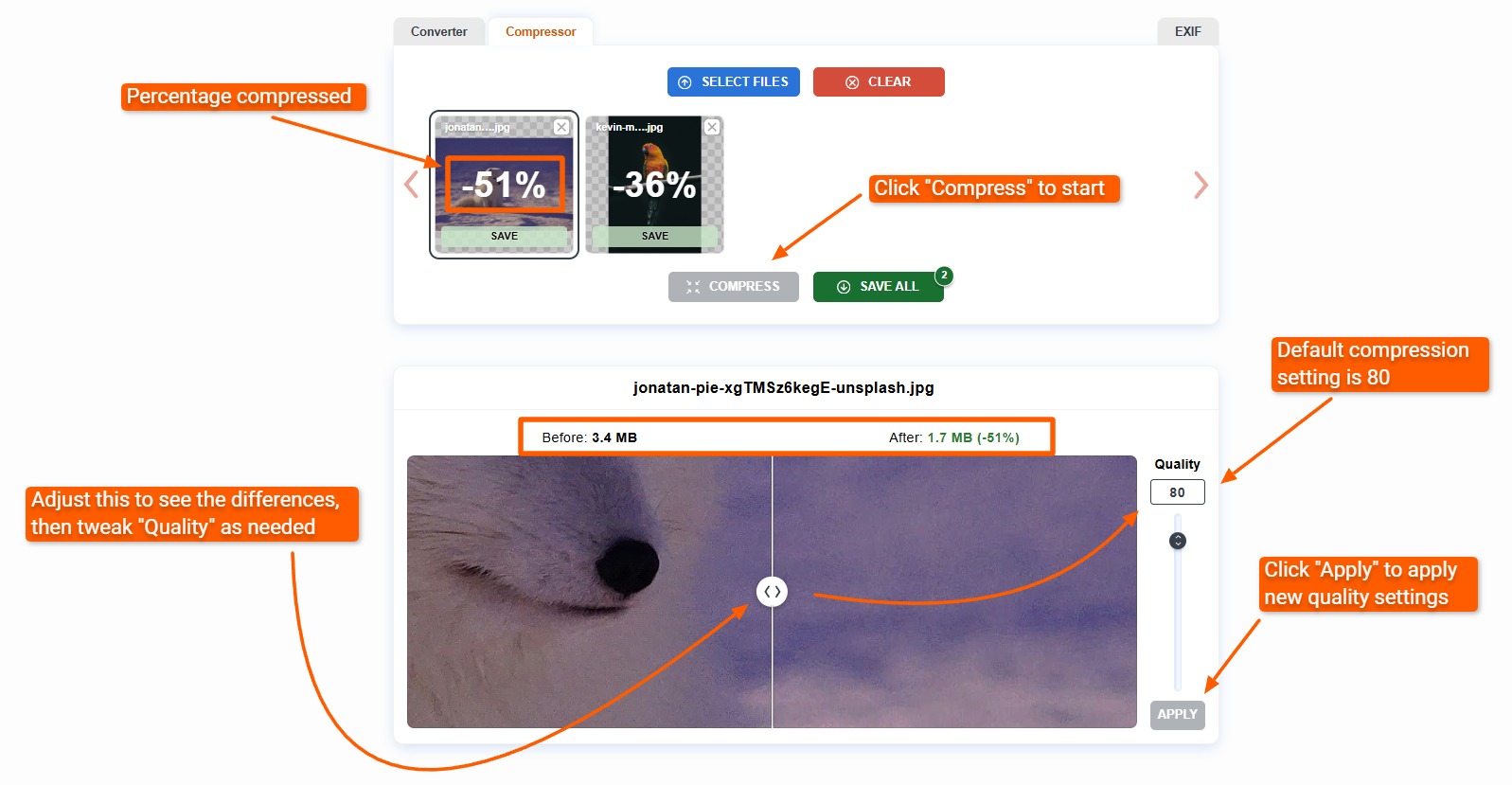 JPEG image uploaded with quality slider in ImageCompressor.com