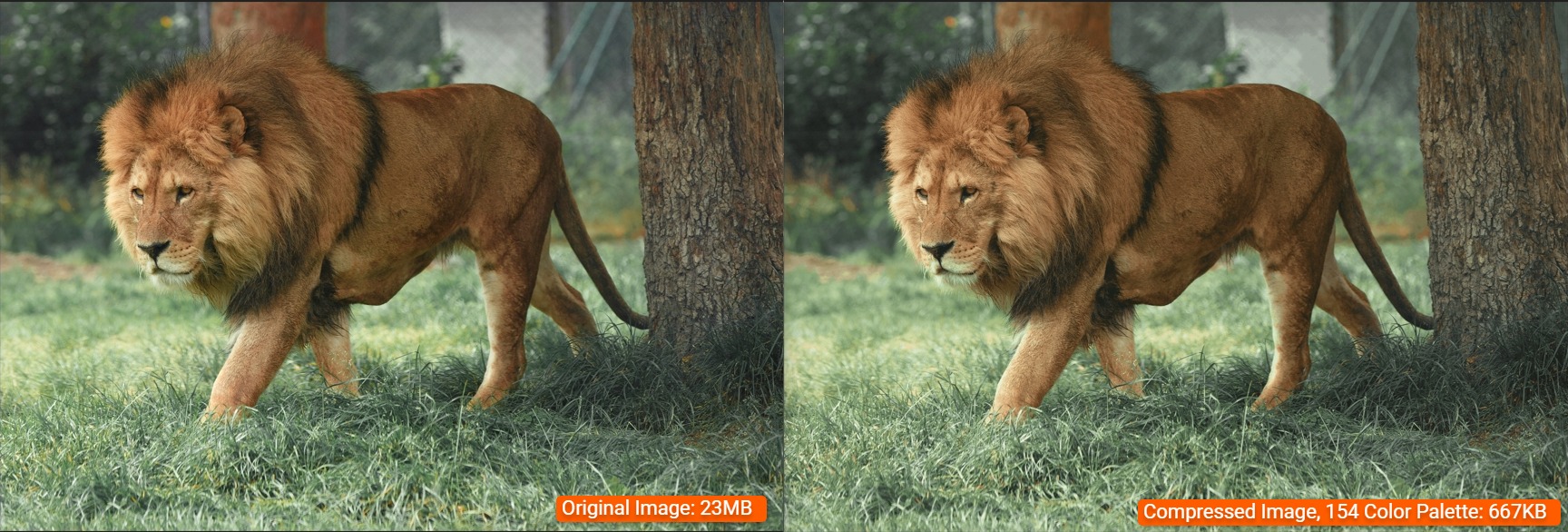 PNG image before and after color palette reduction, from 23 MB to under 1 MB